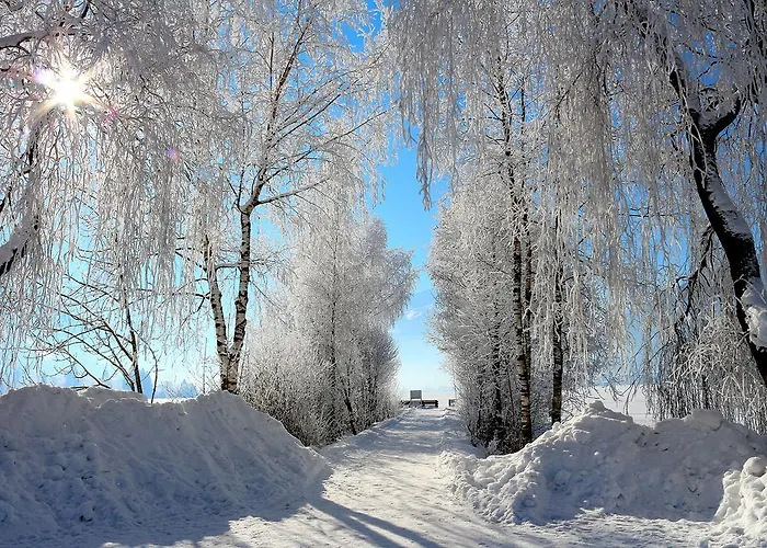 Prielau By We Rent, Summercard Included Apartamento *