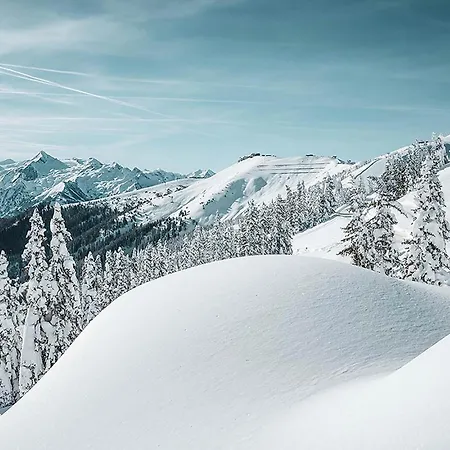 Daire Prielau By We Rent *