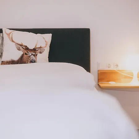 Daire Prielau By We Rent Zell am See