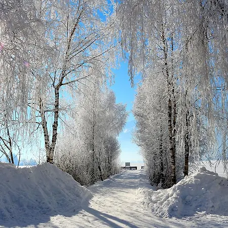 Prielau By We Rent Daire *